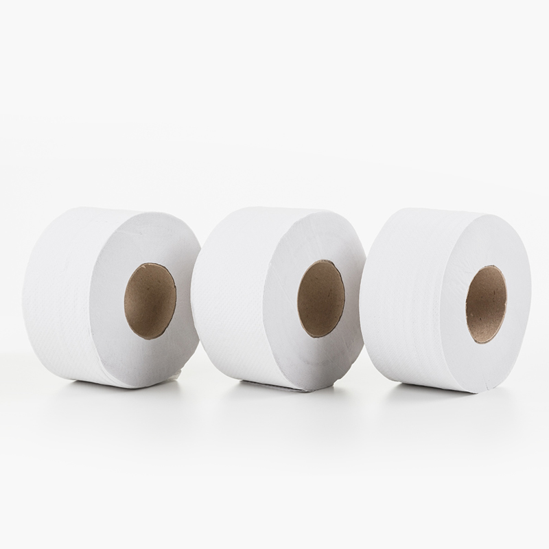 fabrico e transformação de papel tissue - fapajal - papercare papel higiénico