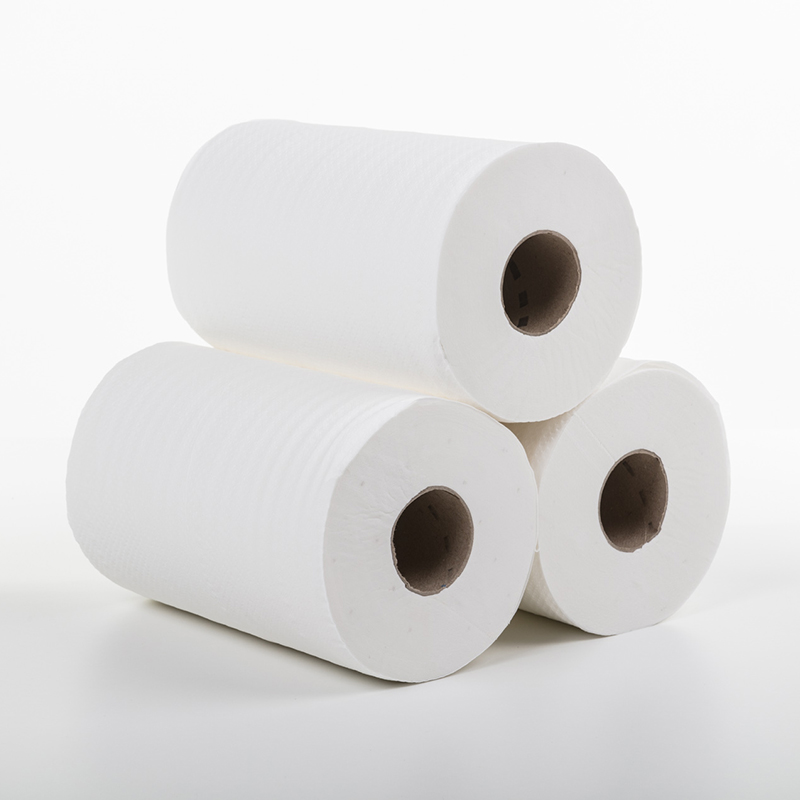 fabrico e transformação de papel tissue - fapajal - papercare rolos de limpeza