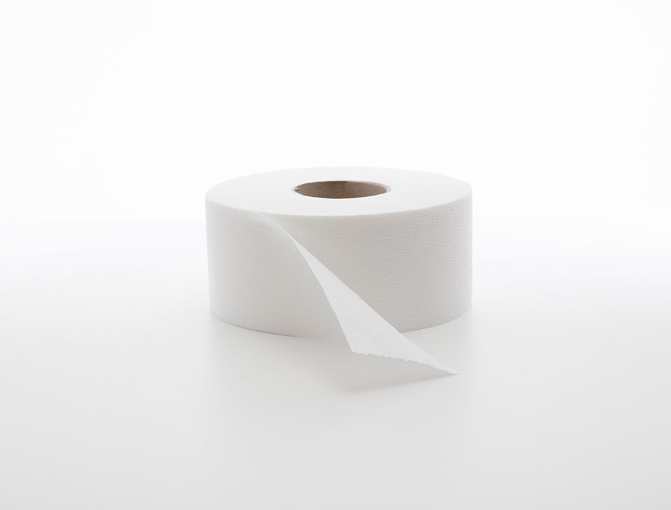 toilet rolls papercare – away from home – 90m, 2P Laminated