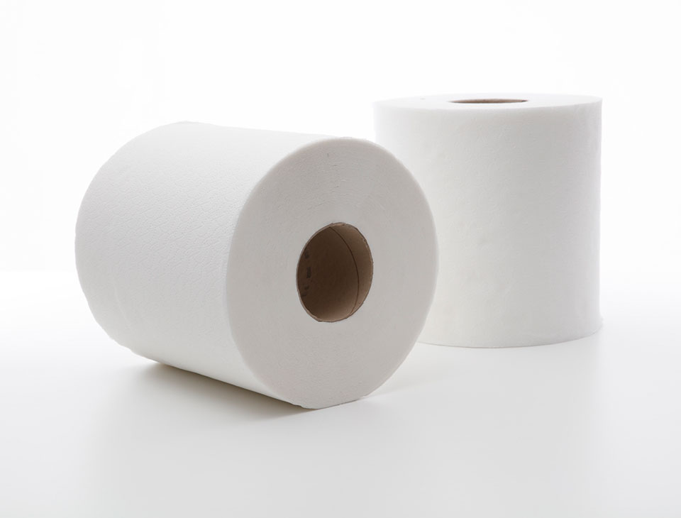 hygiene rolls papercare – away from home – 90m, Laminated 6un
